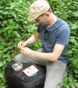 Logiranje geocachea uz navalu komaraca